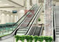 1000 밀리미터 지하철 2는 0.5m 쇼핑몰 에스컬레이터 스크류형 엘리베이터를 종속접속합니다