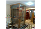 빌라 주택을 위한 400대 킬로그램 로드 SUS304 수력 조용한  주거 가정 엘리베이터