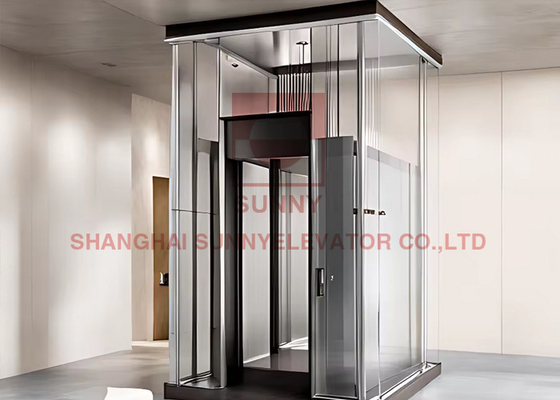 2-4층 300KG 홈 엘리베이터 럭셔리 관찰 주택 엘리베이터