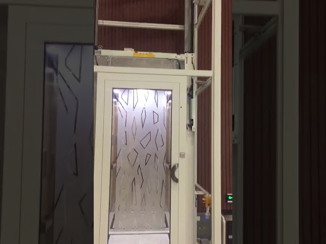 0.4m/S 주거용 집 엘리베이터 빌라 엘리베이터 견인 기계 및 운영
