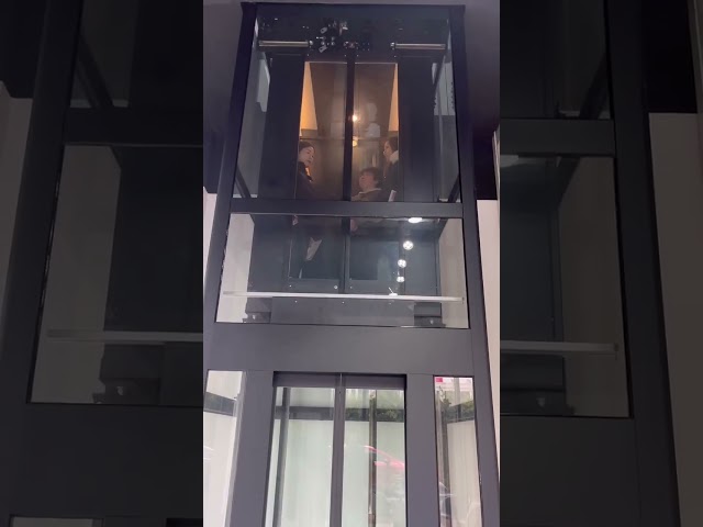 감속 장치와 승객 프프프프 빌라 호텔 450 킬로그램 주거 가정 승강기