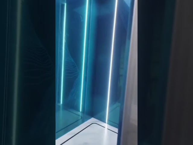 1000대 킬로그램 소형 기계 방 승객용 엘리베이터와 Pvc 바닥과 승강기