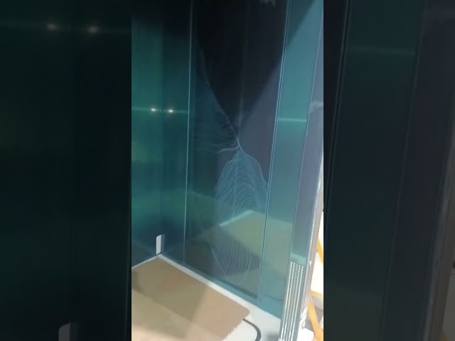 3000~5000kg 자동차 주차 대공간 Dq를 가진 자동차 엘리베이터
