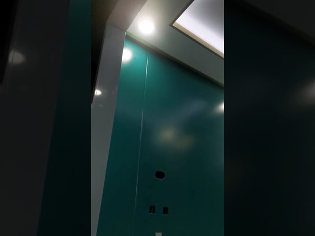 밝은 운임 상승 엘리베이터 2000kg 짐 스테인리스 304 물자